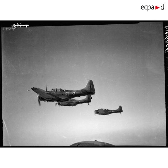 Patrouille de bombardiers en piqué Dauntless.