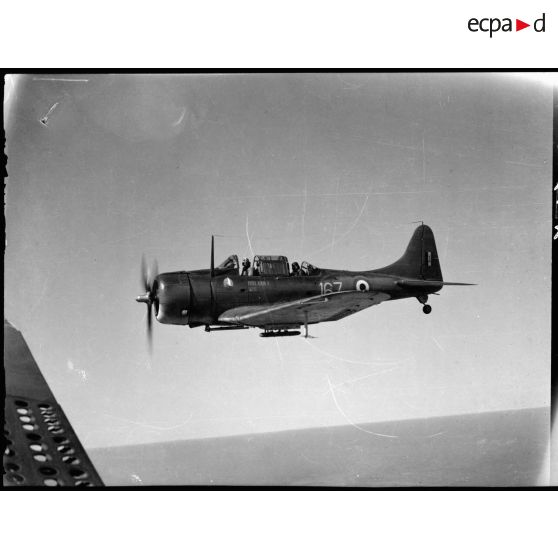 Bombardier en piqué Douglas SBD-3 Dauntless (version A-24) en plein vol.