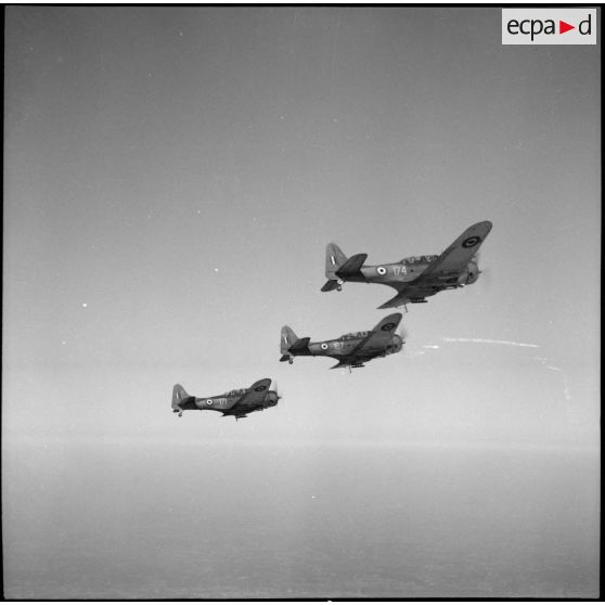 Patrouille de bombardiers en piqué Dauntless.