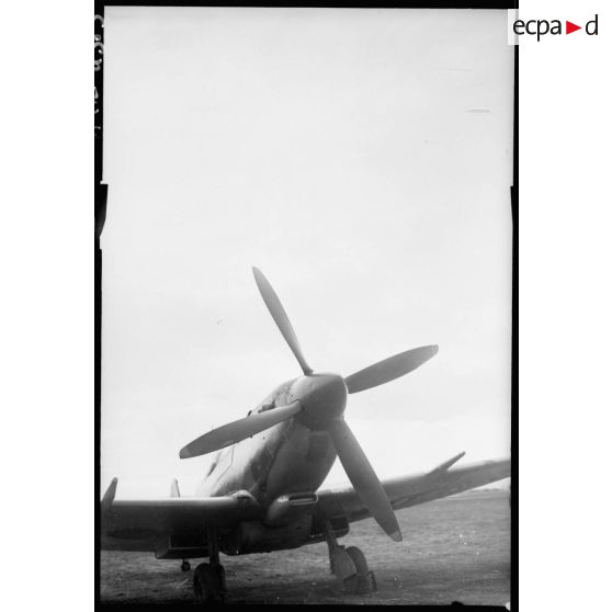 Un Spitfire du groupe I/7 Provence.