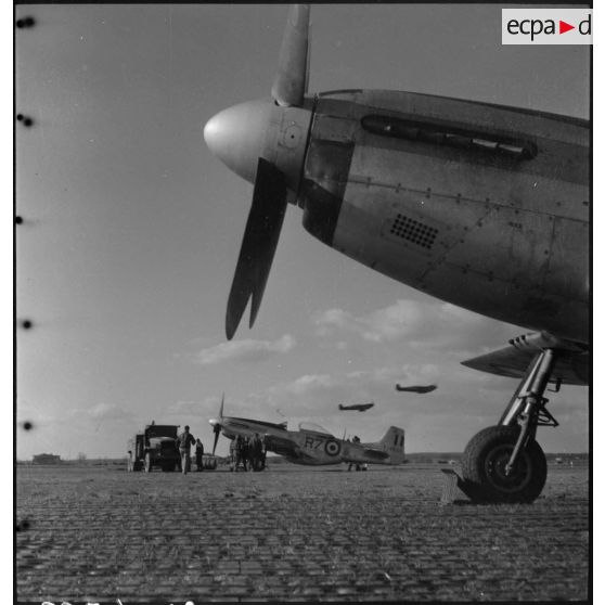 North American P-51 Mustang à l'arrêt.