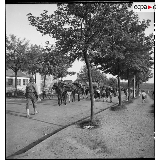 Unité de goumiers en mission, accompagnée par des enfants dans les environs de Kehl.