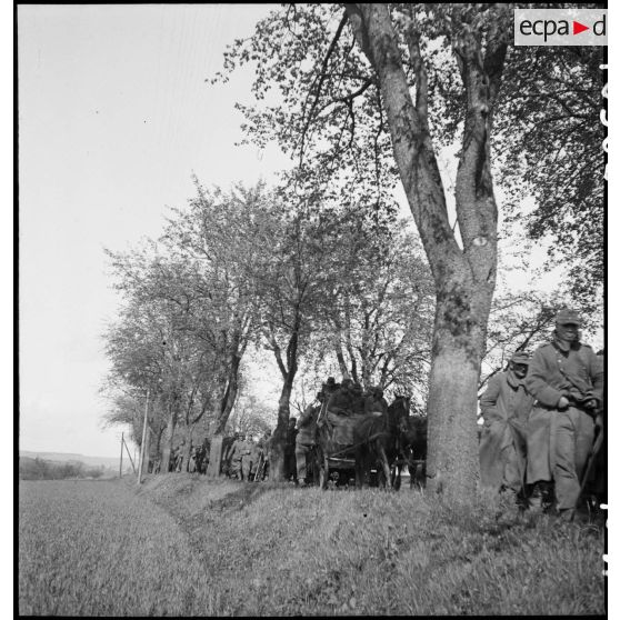 Colonnes de prisonniers de guerre allemands dans les environs de Fützen.