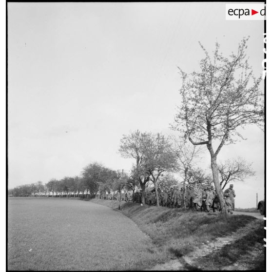 Colonnes de prisonniers de guerre allemands dans les environs de Fützen.