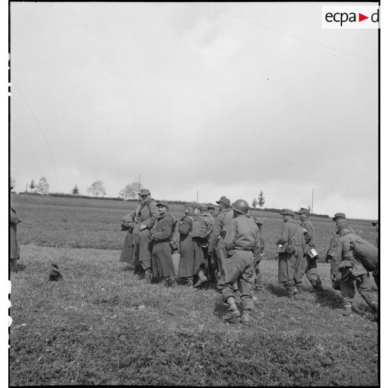 Prisonniers de guerre allemands, encadrés par des soldats du combat command n°3 (CC3), sont emmenés vers des zones de rassemblement dans les environs de Fützen.