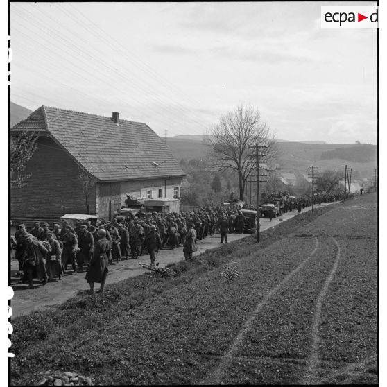 De prisonniers de guerre allemands, encadrés par des soldats du combat command n°3 (CC3), sont emmenés vers des zones de rassemblement dans les environs de Fützen.