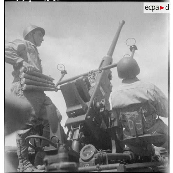 Pièce d'artillerie anti-aérienne Bofors 40 mm en position de tir près du lac de Bizerte en Tunisie.