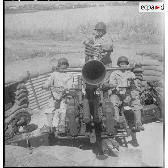 Pièce d'artillerie anti-aérienne Bofors 40 mm en position de tir près du lac de Bizerte en Tunisie.