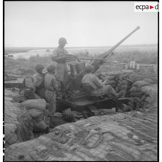 Pièce d'artillerie anti-aérienne Bofors 40 mm en position de tir près du lac de Bizerte en Tunisie.