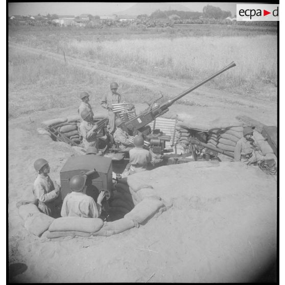 Pièce d'artillerie anti-aérienne Bofors 40 mm en position de tir près du lac de Bizerte en Tunisie.