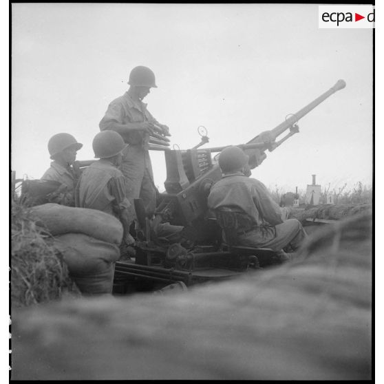 Pièce d'artillerie anti-aérienne Bofors 40 mm en position de tir près du lac de Bizerte en Tunisie.