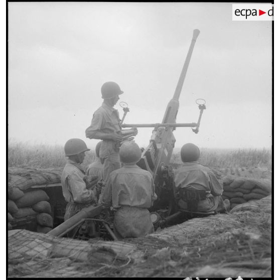 Pièce d'artillerie anti-aérienne Bofors 40 mm en position de tir près du lac de Bizerte en Tunisie.