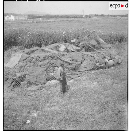 Pièce d'artillerie anti-aérienne camouflée par des filets de camouflage près de Bizerte.