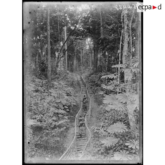 Chemin de fer du centre. Chemin de rondinage menant à la tombe du sous-lieutenant Molières, tué le 16 décembre 1915. [légende d'origine]