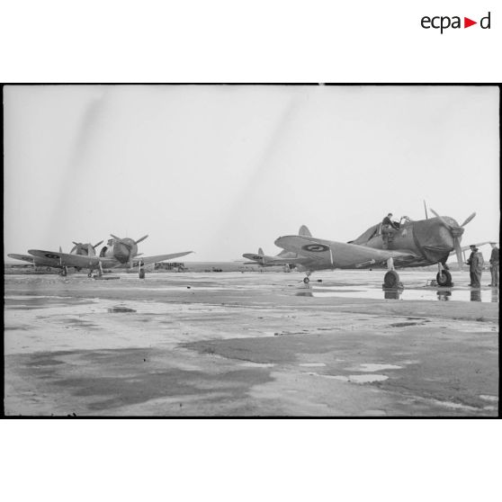 Bombardiers en piqué Douglas SBD-5 Dauntless de la flottille 4FB de l'aéronautique navale sur la base de Cognac.