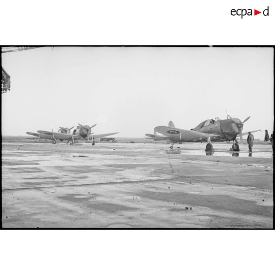 Bombardiers en piqué Douglas SBD-5 Dauntless de la flottille 4FB de l'aéronautique navale sur la base de Cognac.