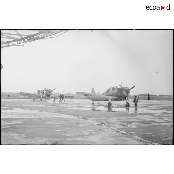 Bombardiers en piqué Douglas SBD-5 Dauntless de la flottille 4FB de l'aéronautique navale sur la base de Cognac.