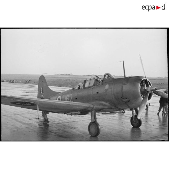 Bombardier en piqué Douglas SBD-5 Dauntless de la flottille 4FB de l'aéronautique navale sur la base de Cognac.