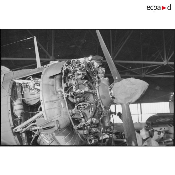 Maintenance du moteur d'un bombardier en piqué Douglas SBD-5 Dauntless d'une flottille de l'aéronautique navale sur la base de Cognac.