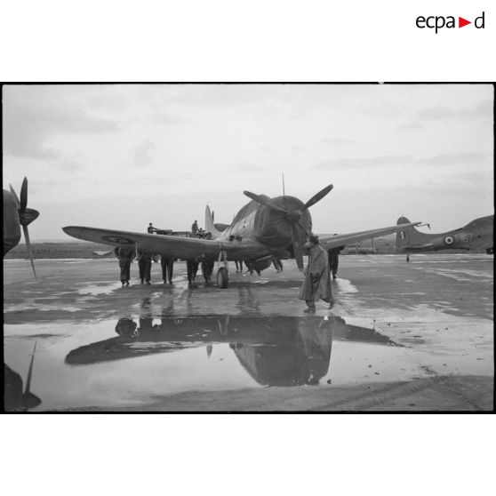 Un bombardier en piqué Douglas SBD-5 Dauntless de la flottille 4FB de l'aéronautique navale est poussé sur une piste d'envol sur la base de Cognac.