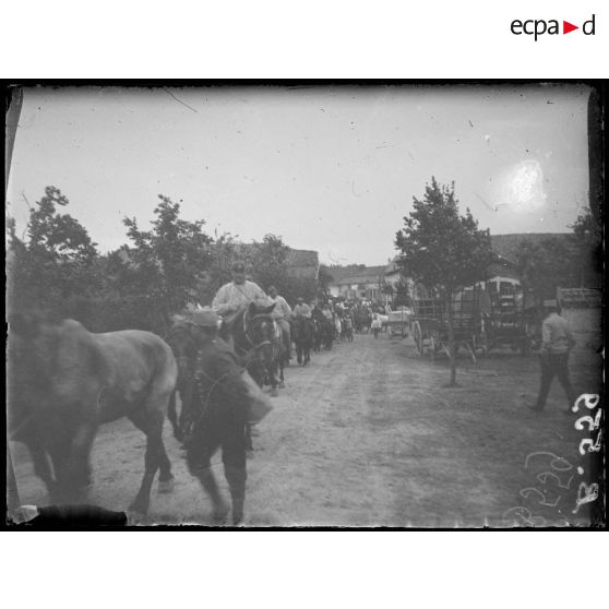 Souilly (Meuse). Soldats du Train conduisant leurs chevaux à l’abreuvoir. [légende d’origine]