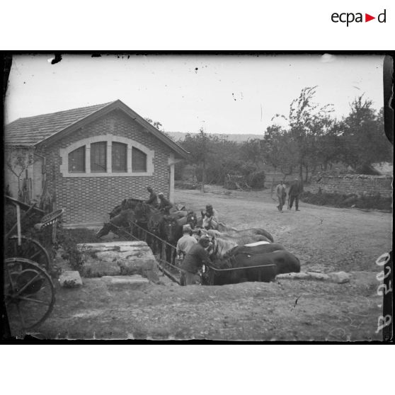 Souilly (Meuse). Soldats du Train conduisant leurs chevaux à l’abreuvoir. [légende d’origine]