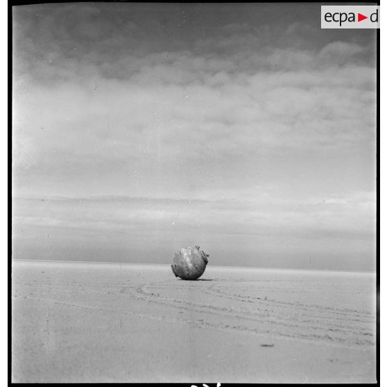 Mine sous-marine allemande échouée sur une plage à Dunkerque.