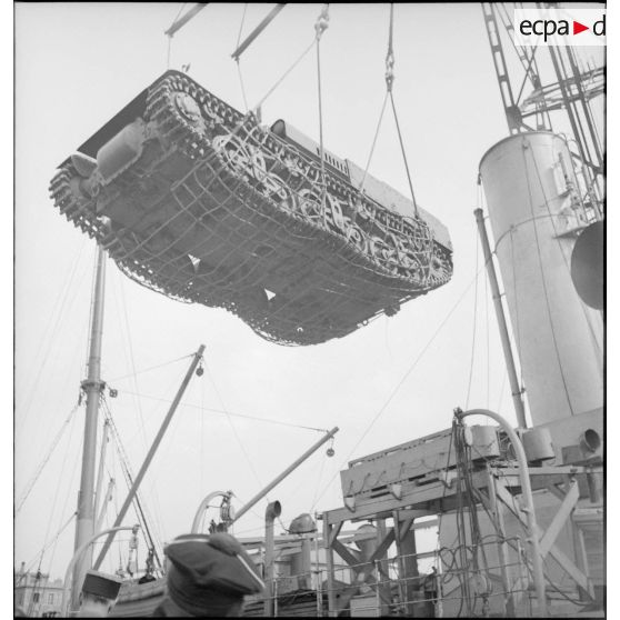 Un matelot nourrit des mulets destinés au CEFS (Corps expéditionnaire français en Scandinavie) avant leur embarquement à bord d'un cargo.