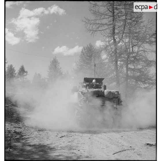 Char léger Stuart M5 A1 du 1er régiment de fusiliers marins (RFM).