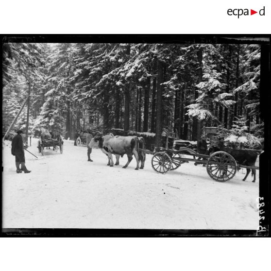 Vosges, un convoi sur la route. [légende d’origine]