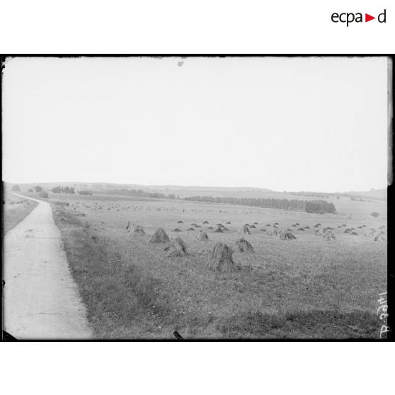 Panorama champ de bataille de l’Ourcq. [légende d’origine]