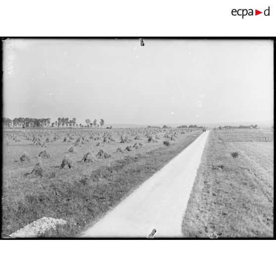 Panorama du plateau de Barcy, de la ferme de Champ-Fleury à Chambry. [légende d’origine]