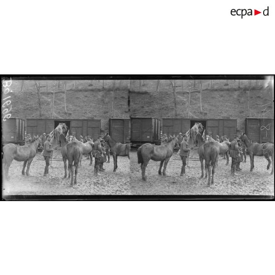 En gare de Longpont (Aisne), embarquement des chevaux par les soldats anglais. [légende d’origine]