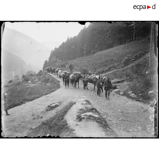 Ravitaillement par mulets vers le Lac Noir. [légende d’origine]