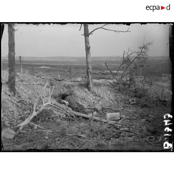 Devant le Bois Bricot. Champ de bataille du 25 septembre 1915. [légende d'origine]