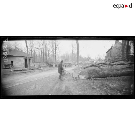 Noyon, boulevard Carnot, les arbres détruits par les allemands pour obstruer le passage. [légende d’origine]