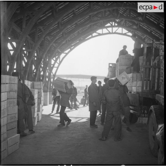 Vue d'une halle du port d'Alger.