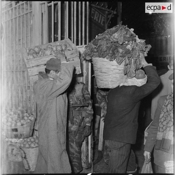 Déchargement de légumes dans un marché d'Alger.