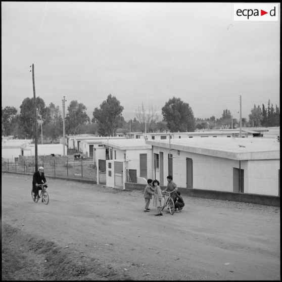 Vue d'habitations à Orléansville.