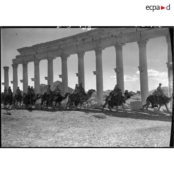 Un peloton de méharistes de la 1re CLD (compagnie légère du désert) se déplace dans les ruines de Palmyre.