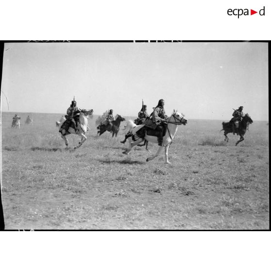 Lors d'un exercice un escadron druze charge au galop au milieu d'une vaste étendue herbeuse.