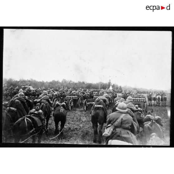 Plan général des troupes polonaises alignées lors de la cérémonie militaire, les soldats sont photographiés de dos