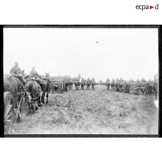 Plan général des troupes polonaises alignées lors de la cérémonie militaire, les soldats sont photographiés de dos