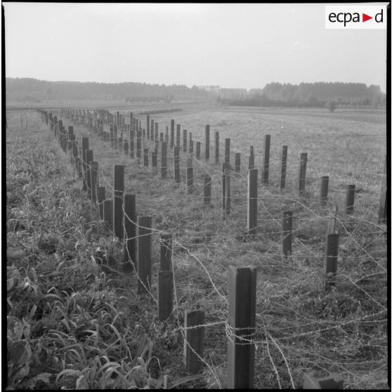 Obstacles antichars constitués de pieux métalliques enfoncés verticalement dans le sol.