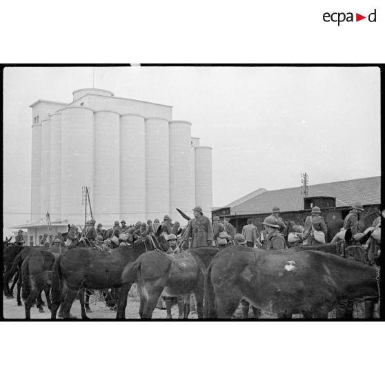 Plan général de l'embarquement des mules du 1er REI à la gare de Sidi Bel-Abbés.