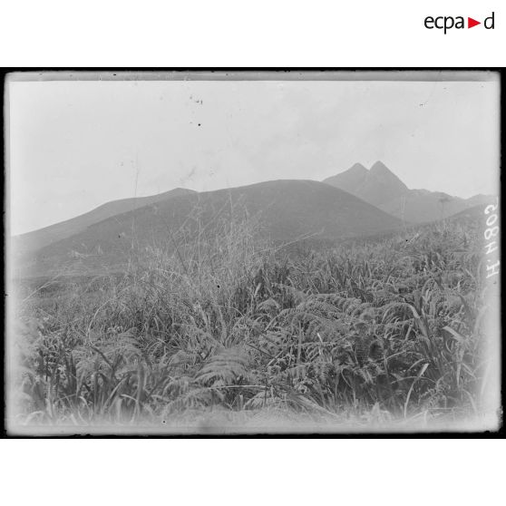 De Mbureku à Poala, altitude 1800 m environ. Au premier plan, un cratère ; au second plan, l'aiguille du Manengouba (2280 m). [légende d'origine]