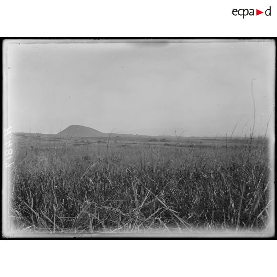 Route de Baré à Mboureku. Cratère isolé, croupe est du Manengouba. [légende d'origine]