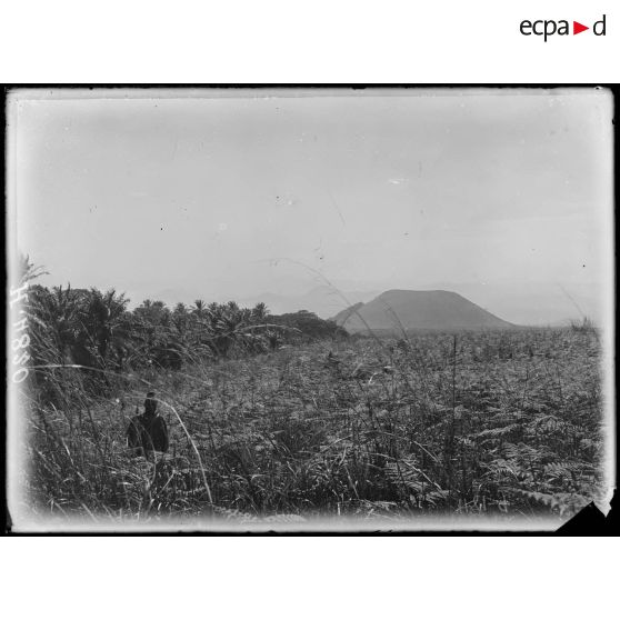 Route de Baré à Mboureku. Cratère isolé et palmiers à huile le long d'un ruisseau. [légende d'origine]