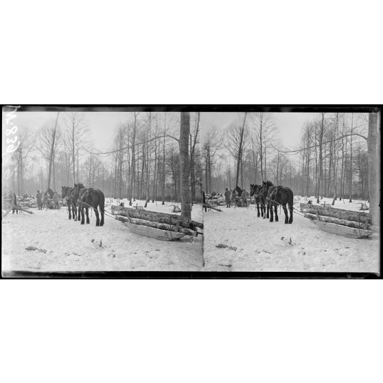 Près de Verrières (Marne). Exploitation forestière de la Haie Guérin. Transport d'arbres sur traîneaux. [légende d'origine]