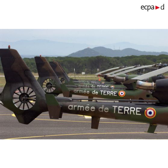 Empennages d'hélicoptères Gazelle lors d'un exercice EALAT (École de l'aviation légère de l'armée de Terre).